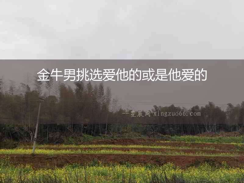 金牛男挑選愛(ài)他的或是他愛(ài)的