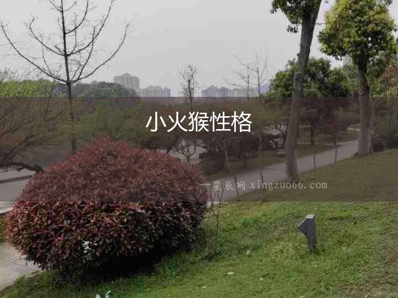 小火猴性格