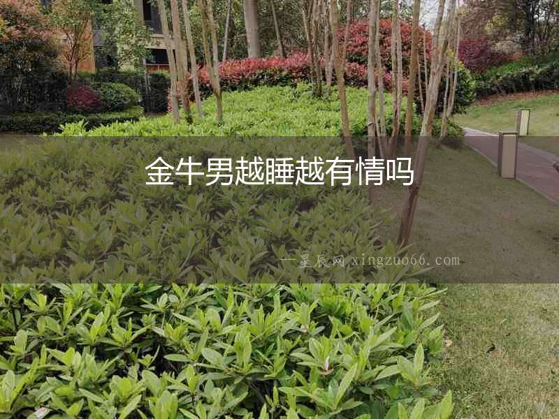 金牛男越睡越有情嗎