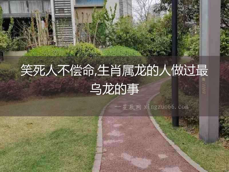 笑死人不償命,生肖屬龍的人做過最烏龍的事