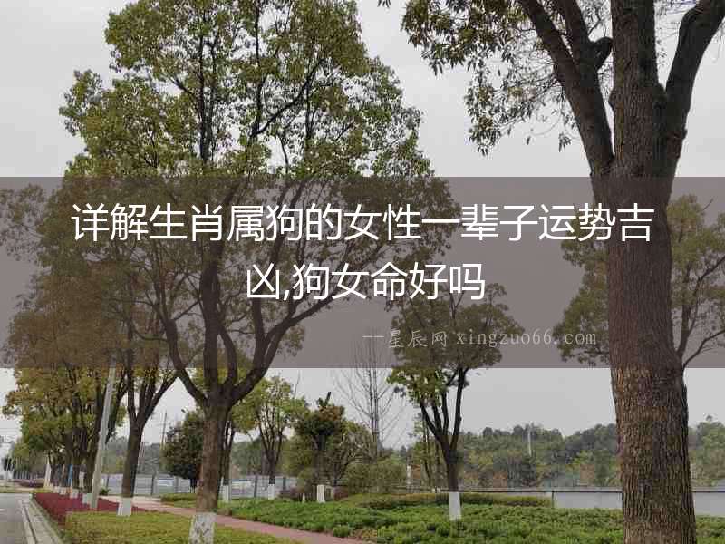 詳解生肖屬狗的女性一輩子運勢吉兇,狗女命好嗎
