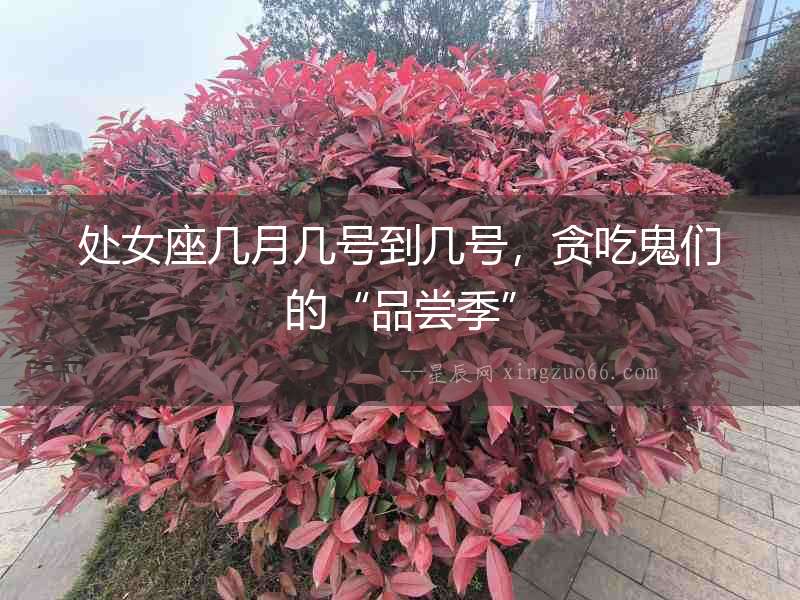 處女座幾月幾號到幾號，貪吃鬼們的“品嘗季”
