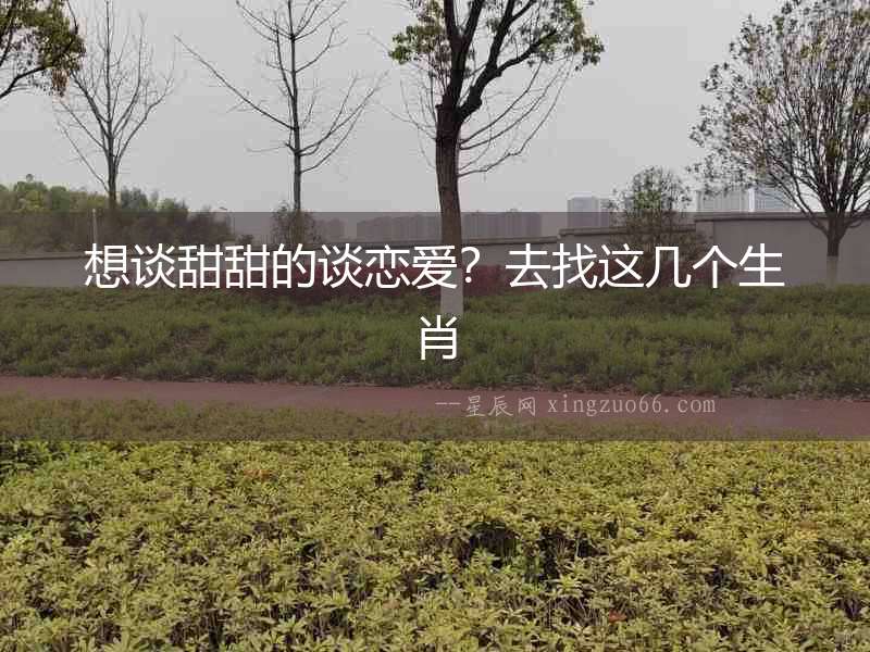 想談甜甜的談戀愛？去找這幾個(gè)生肖