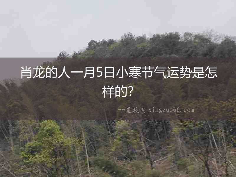 肖龍的人一月5日小寒節氣運勢是怎樣的？