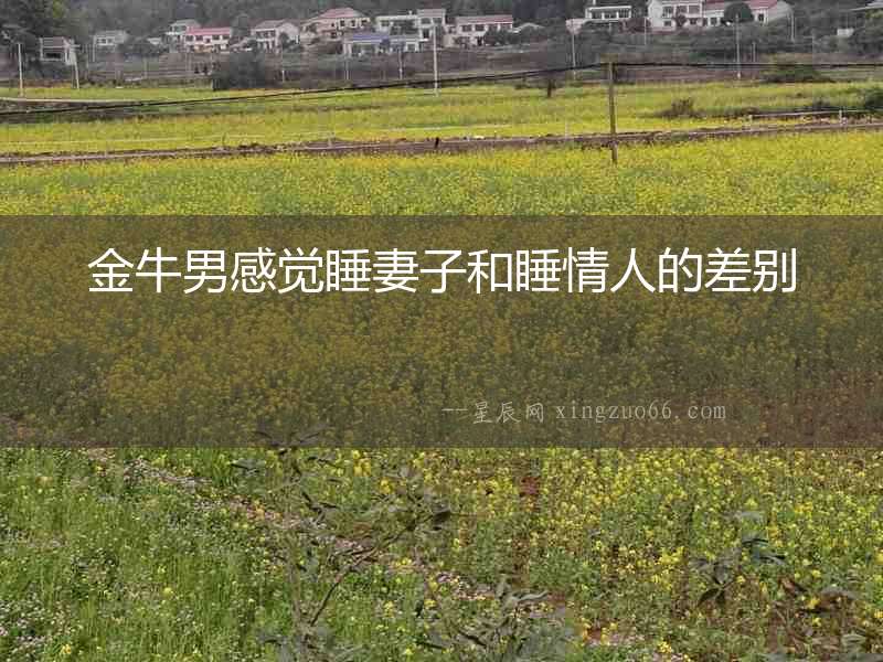 金牛男感覺睡妻子和睡情人的差別