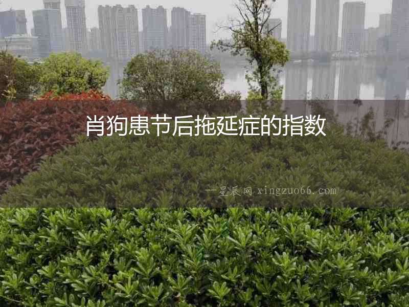 肖狗患節后拖延癥的指數