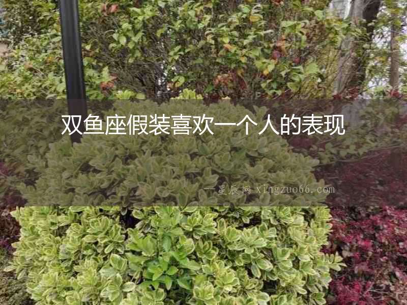 雙魚座假裝喜歡一個人的表現(xiàn)