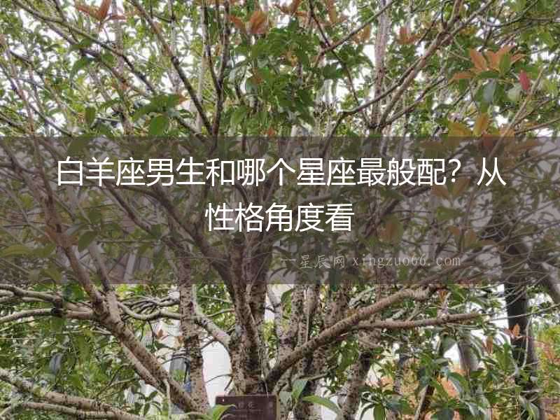 白羊座男生和哪個星座最般配？從性格角度看