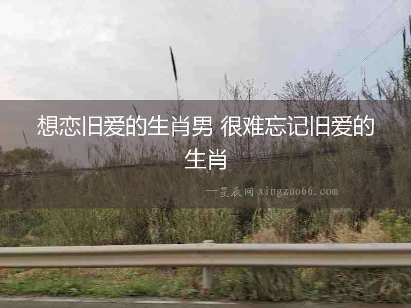 想戀舊愛的生肖男 很難忘記舊愛的生肖