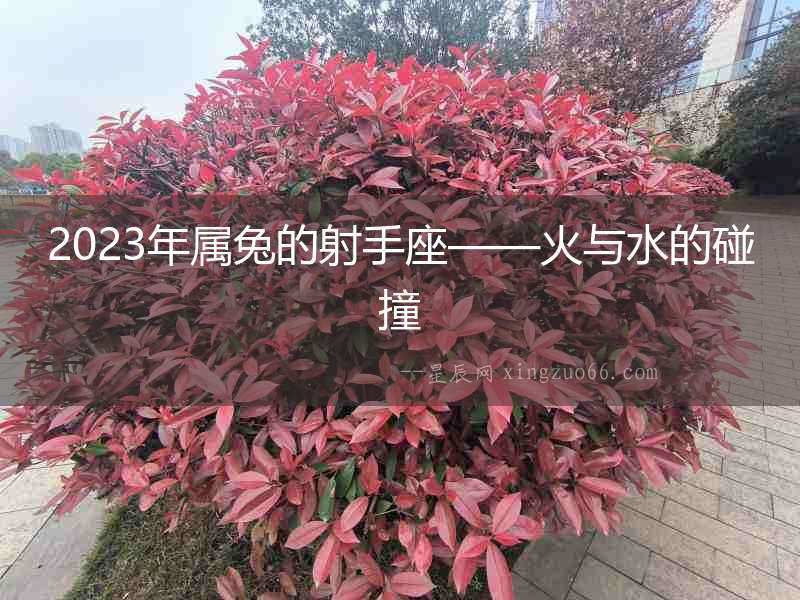 2023年屬兔的射手座——火與水的碰撞