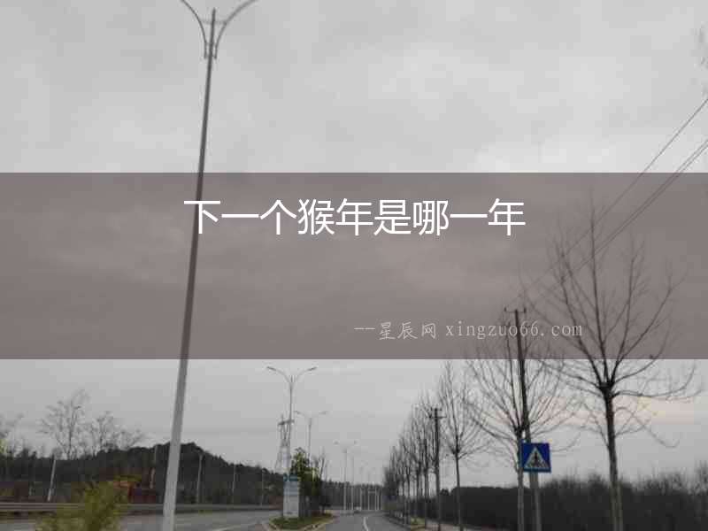 下一個猴年是哪一年