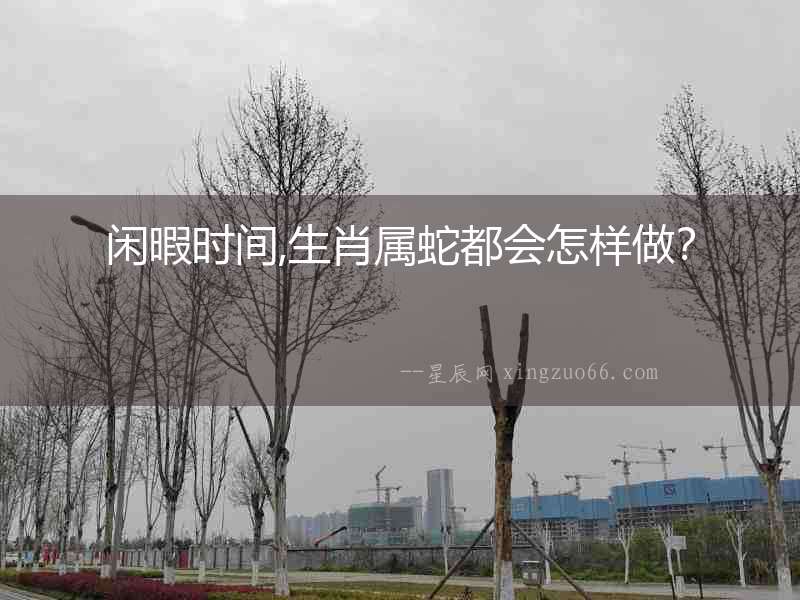 閑暇時(shí)間,生肖屬蛇都會(huì)怎樣做？