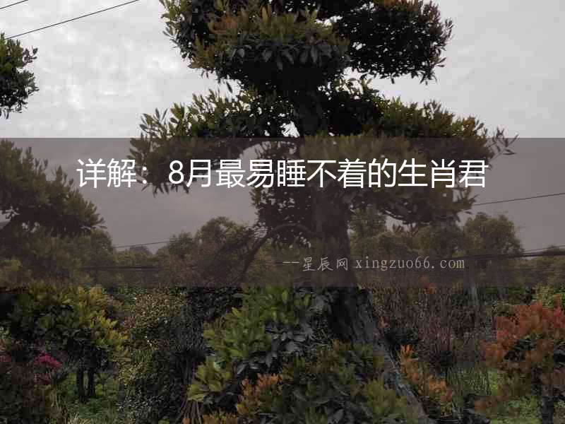 詳解：8月最易睡不著的生肖君