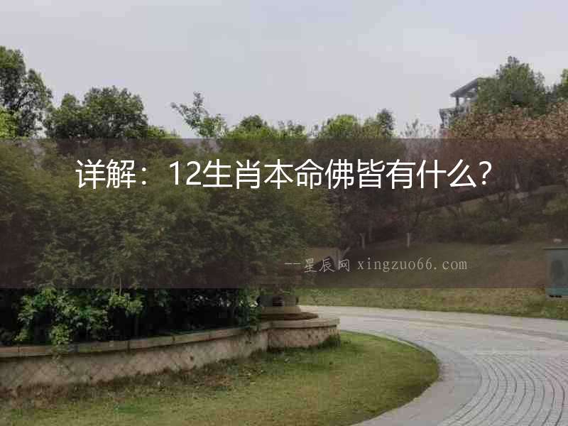 詳解：12生肖本命佛皆有什么？