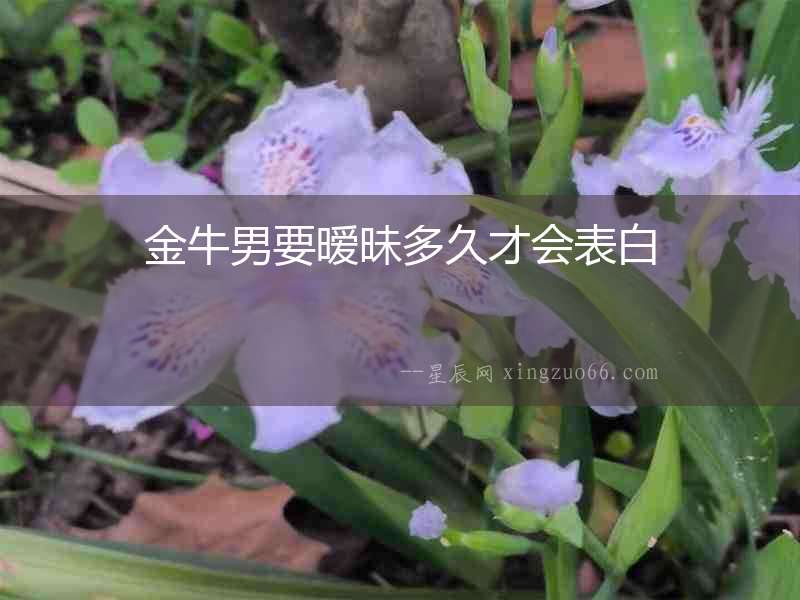 金牛男要曖昧多久才會表白