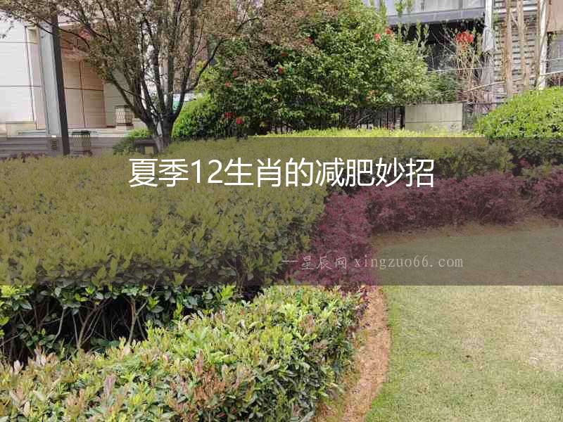 夏季12生肖的減肥妙招