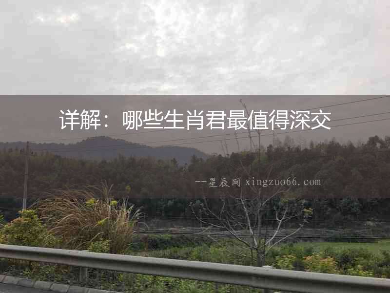 詳解：哪些生肖君最值得深交