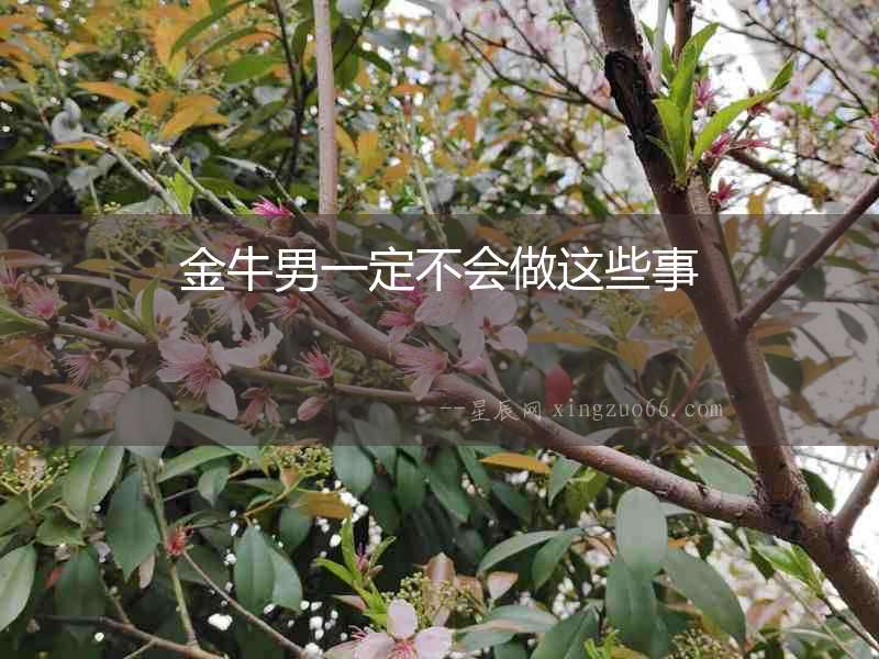 金牛男一定不會做這些事