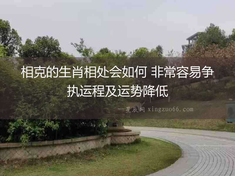 相克的生肖相處會(huì)如何 非常容易爭(zhēng)執(zhí)運(yùn)程及運(yùn)勢(shì)降低