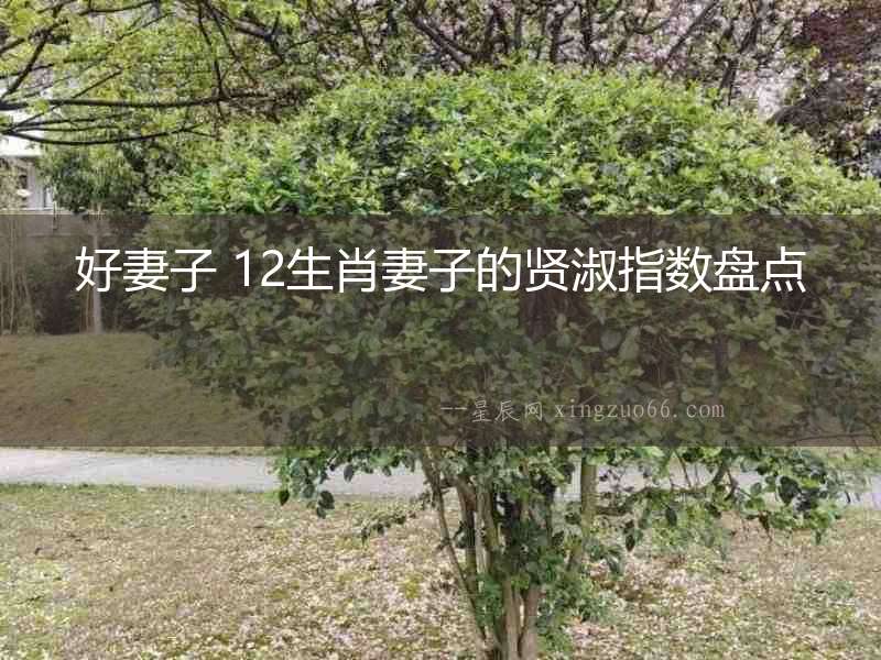 好妻子 12生肖妻子的賢淑指數盤點