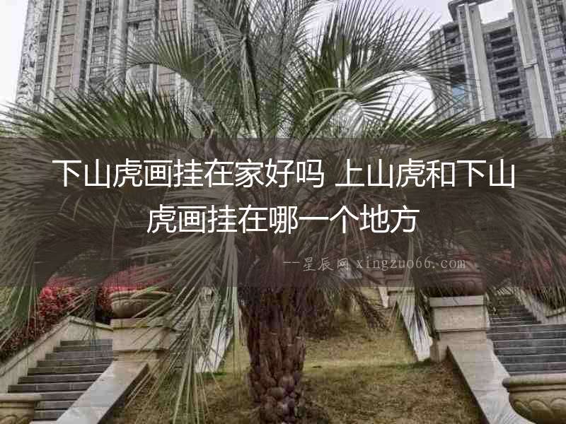 下山虎畫掛在家好嗎 上山虎和下山虎畫掛在哪一個地方