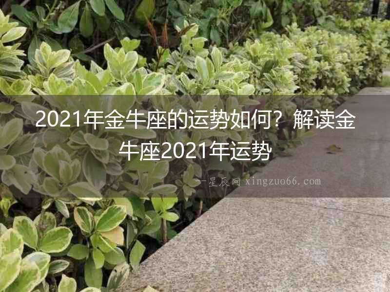 2021年金牛座的運(yùn)勢如何？解讀金牛座2021年運(yùn)勢