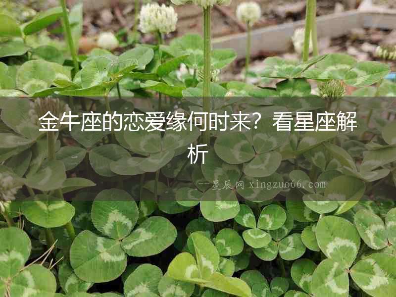 金牛座的戀愛緣何時(shí)來？看星座解析