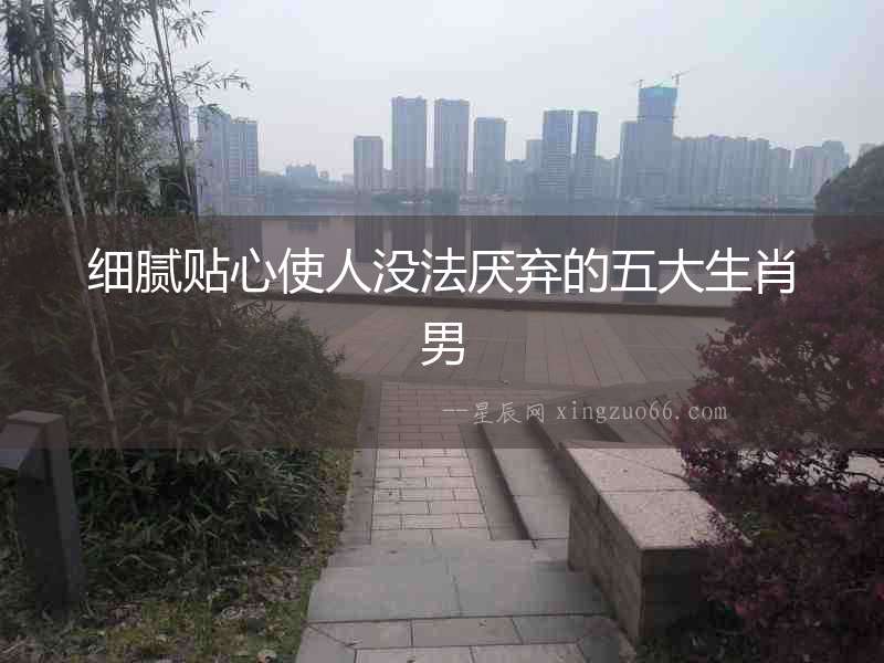 細膩貼心使人沒法厭棄的五大生肖男