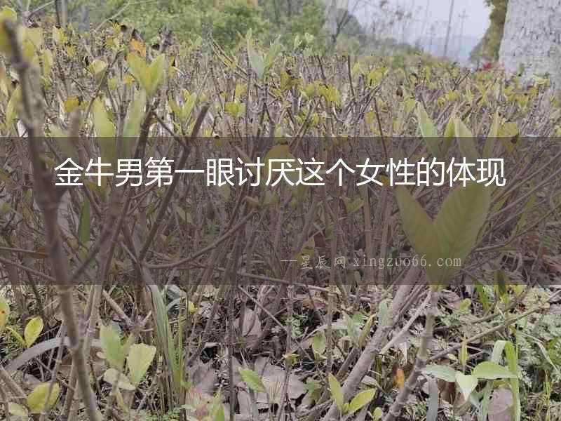金牛男第一眼討厭這個(gè)女性的體現(xiàn)
