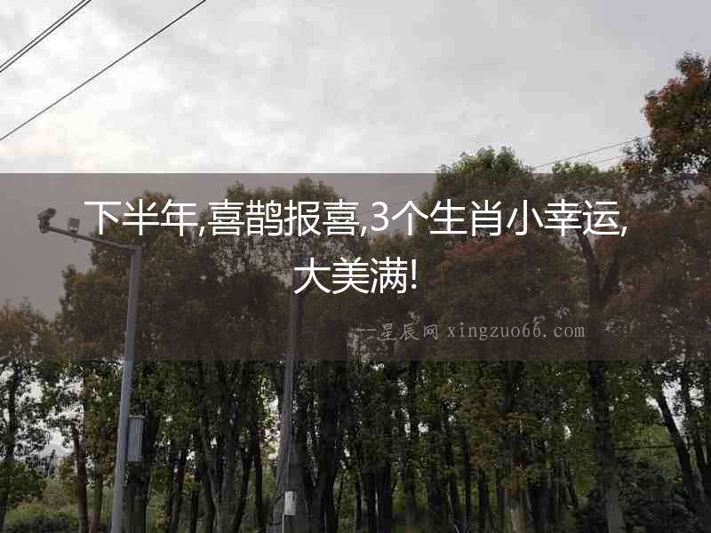 下半年,喜鵲報喜,3個生肖小幸運,大美滿!