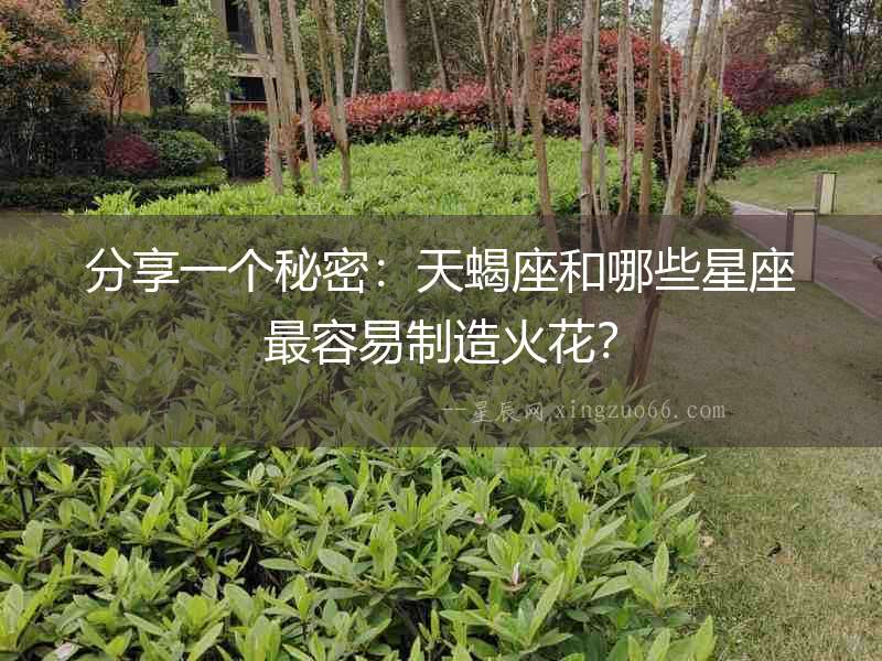 分享一個秘密：天蝎座和哪些星座最容易制造火花？