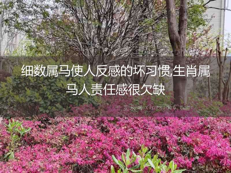 細數屬馬使人反感的壞習慣,生肖屬馬人責任感很欠缺
