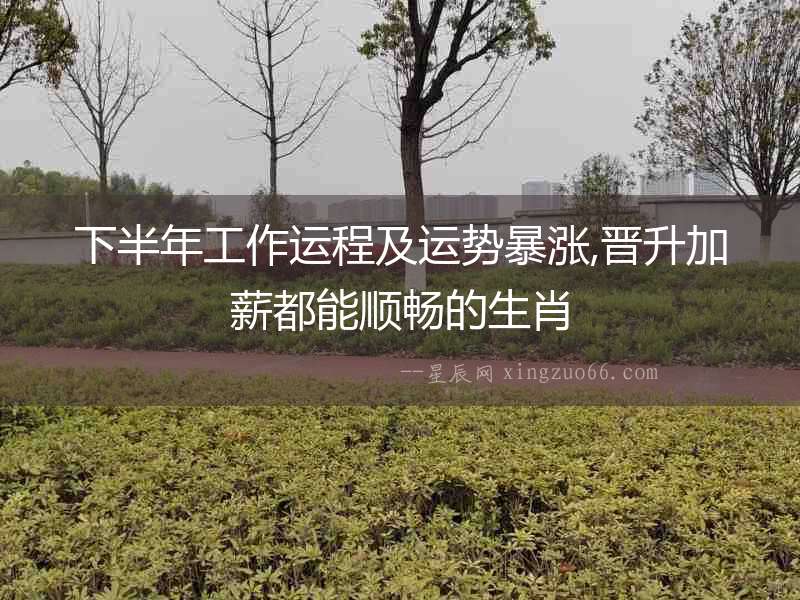 下半年工作運(yùn)程及運(yùn)勢(shì)暴漲,晉升加薪都能順暢的生肖
