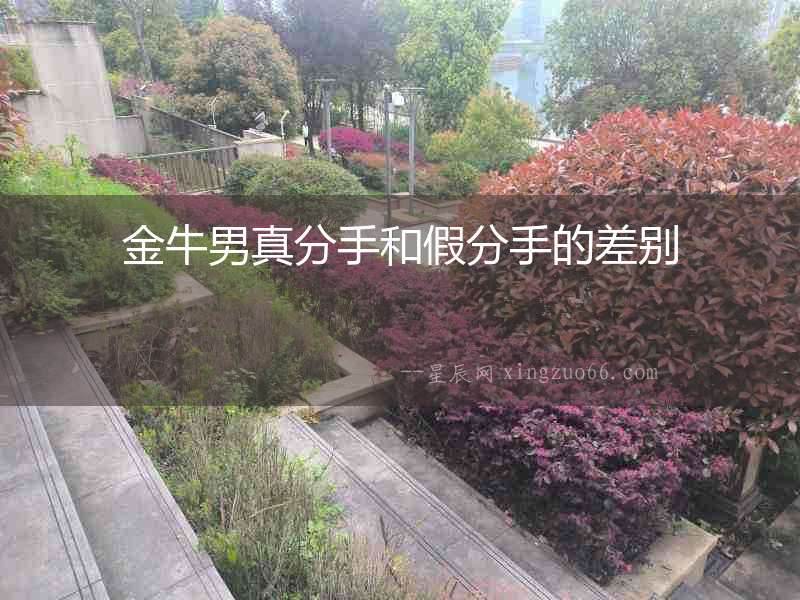 金牛男真分手和假分手的差別