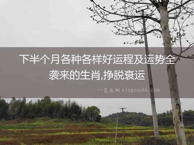 下半個月各種各樣好運程及運勢全襲來的生肖,掙脫衰運