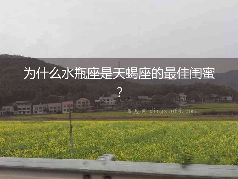 為什么水瓶座是天蝎座的最佳閨蜜？
