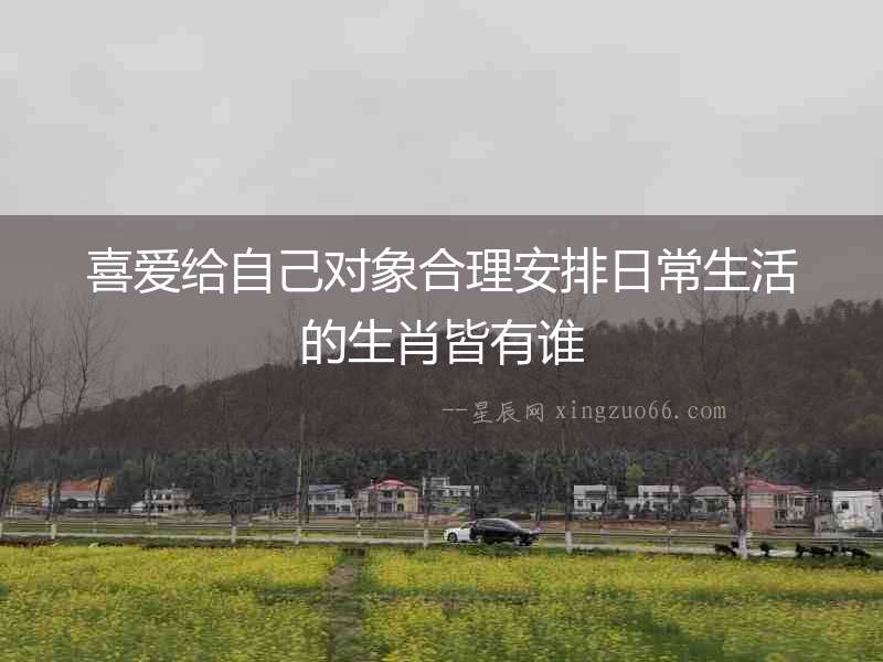 喜愛給自己對象合理安排日常生活的生肖皆有誰