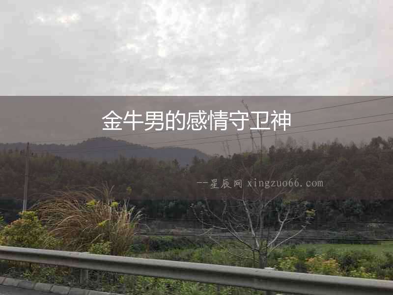 金牛男的感情守衛神
