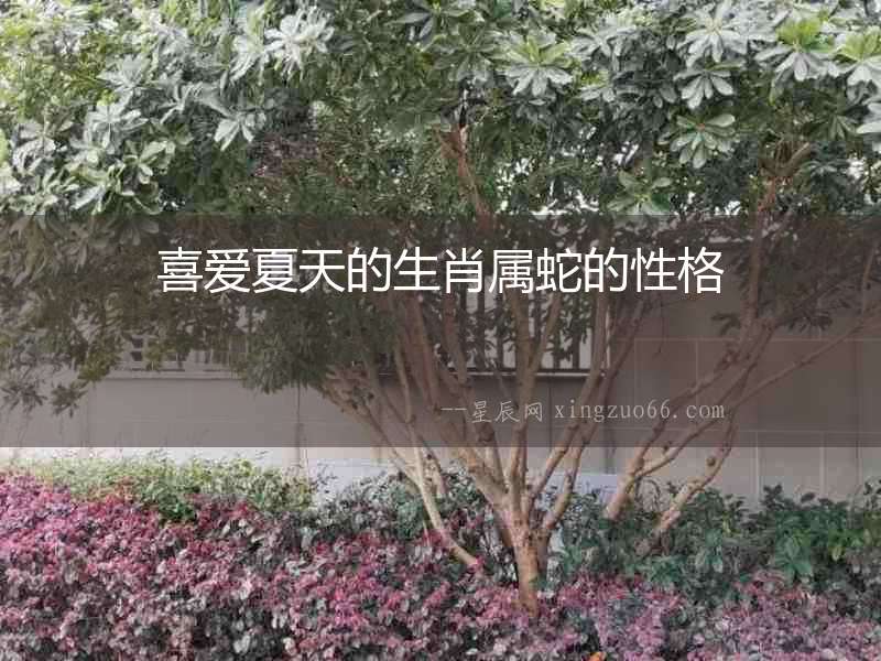 喜愛夏天的生肖屬蛇的性格