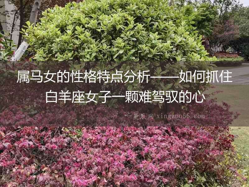 屬馬女的性格特點分析——如何抓住白羊座女子一顆難駕馭的心