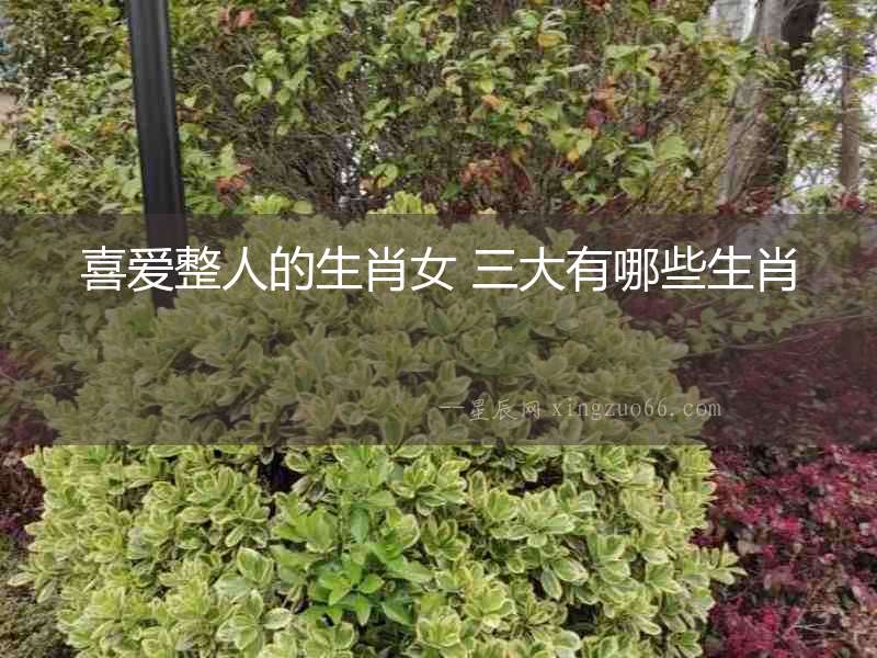 喜愛整人的生肖女 三大有哪些生肖