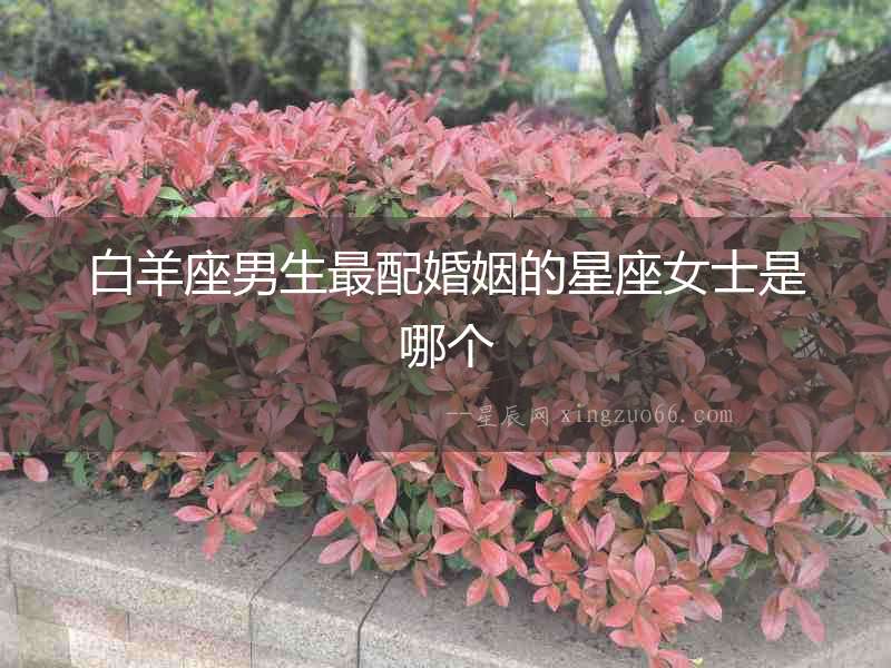 白羊座男生最配婚姻的星座女士是哪個