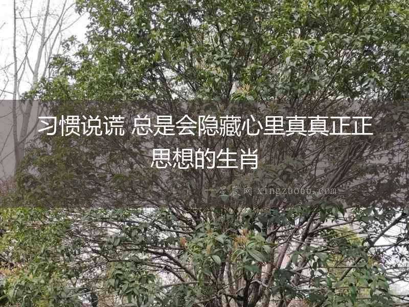 習慣說謊 總是會隱藏心里真真正正思想的生肖