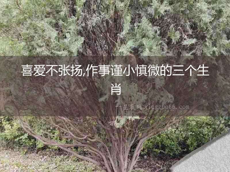 喜愛(ài)不張揚(yáng),作事謹(jǐn)小慎微的三個(gè)生肖