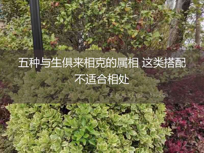 五種與生俱來相克的屬相 這類搭配不適合相處