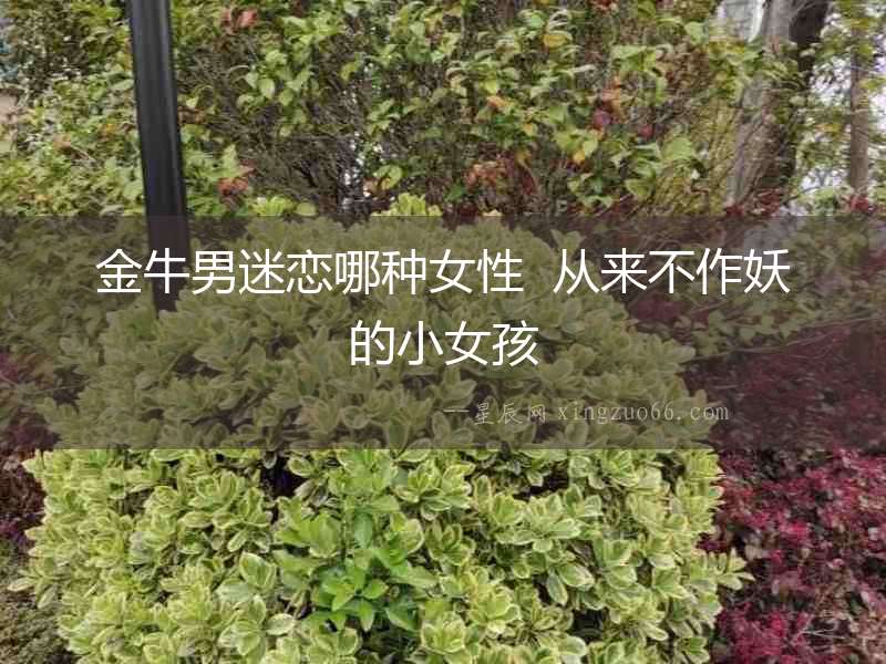 金牛男迷戀哪種女性  從來不作妖的小女孩