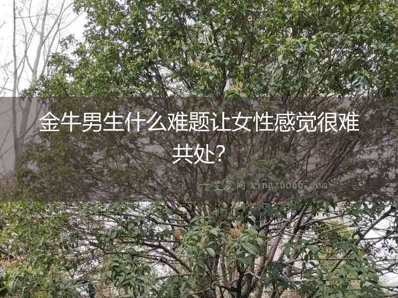 金牛男生什么難題讓女性感覺很難共處？