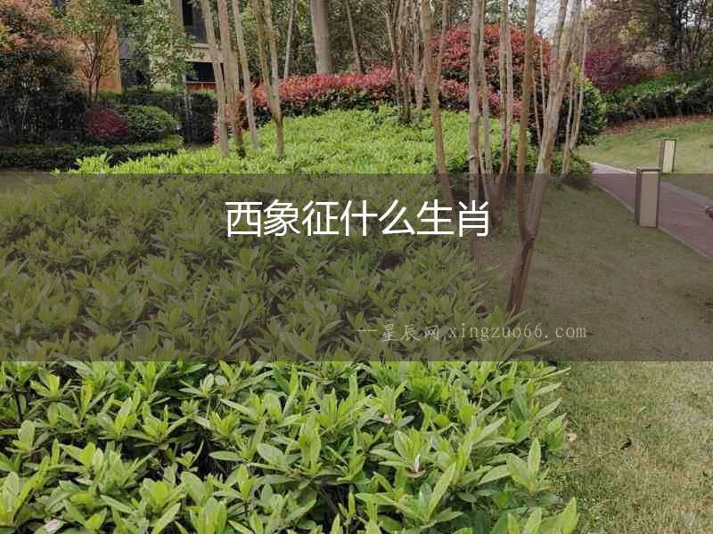 西象征什么生肖