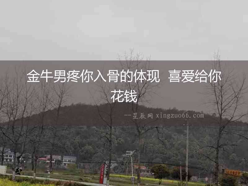 金牛男疼你入骨的體現(xiàn)  喜愛給你花錢