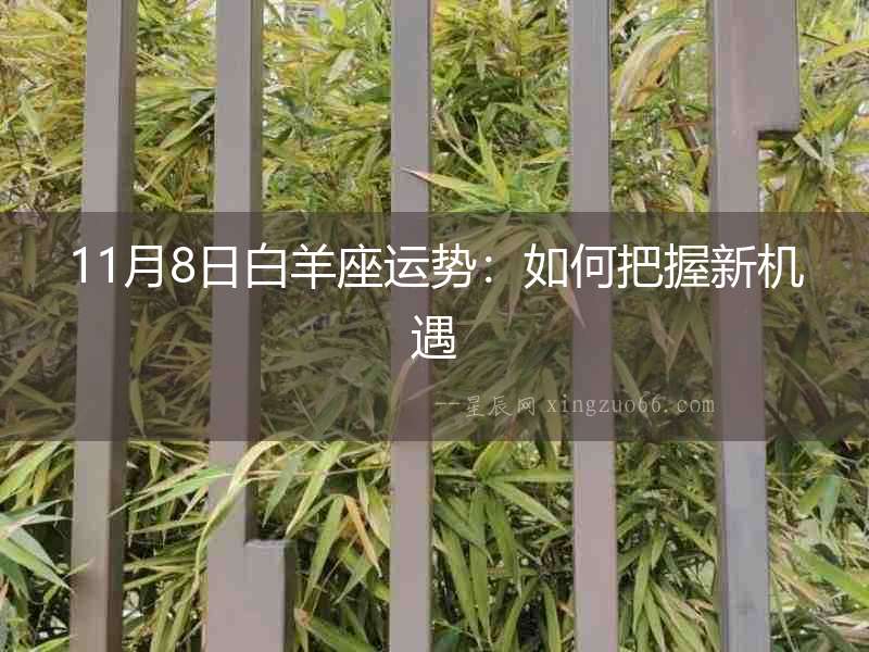 11月8日白羊座運勢：如何把握新機遇